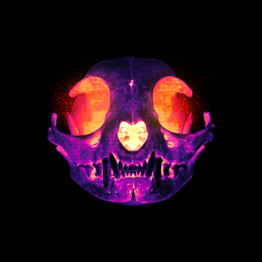 SKULL HEAD CAT